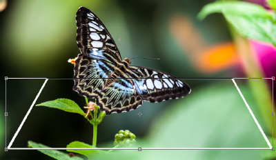 Ga vervolgens naar <strong>Bewerken (Edit) - Transformatie (Transform) - Vrije transformatie (Free transform)</strong>. Nu kun je het perspectief nog verder aanpassen, voornamelijk naar beneden.