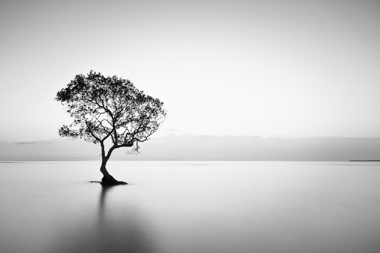 Werkelijk Behandeling publiek Tips voor de mooiste landschappen in zwart-wit! - Zoom Academy |  Fotografietips
